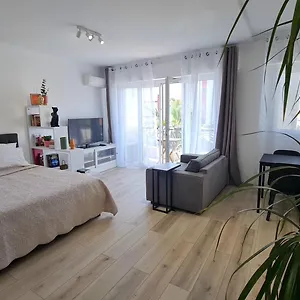 Palm Studio Nice